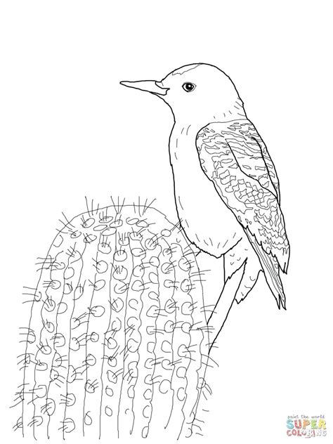 Meet the largest woodpecker in america, the pileated woodpecker! Woodpecker Drawing at GetDrawings | Free download