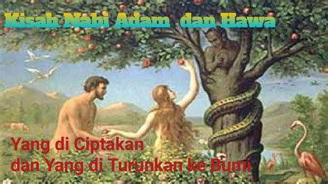 Kisah Nabi Adam Dan Hawa Yang Di Turunkan Ke Bumi Youtube