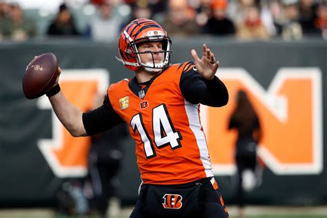 How old is dalton gomez? Andy Dalton: Introduction| Contract| Wife| Salary| Net ...