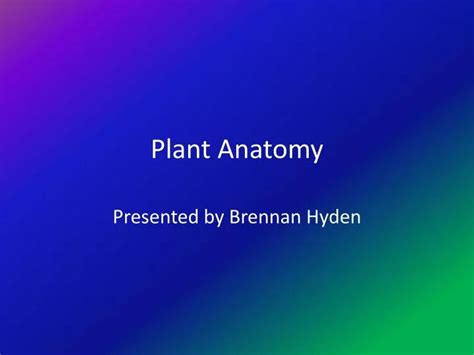 Ppt Plant Anatomy Powerpoint Presentation Free Download Id2145559