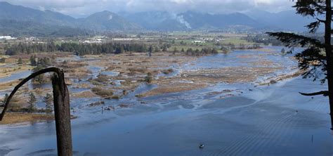 Benefits Of Tillamook Bay Wetlands Restoration Extend Far Beyond Scope