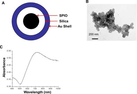 Theranostics With Multifunctional Magnetic Gold Nanoshells