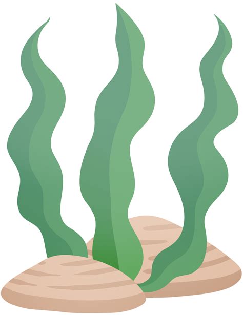 Cartoon Seaweed Pngs For Free Download