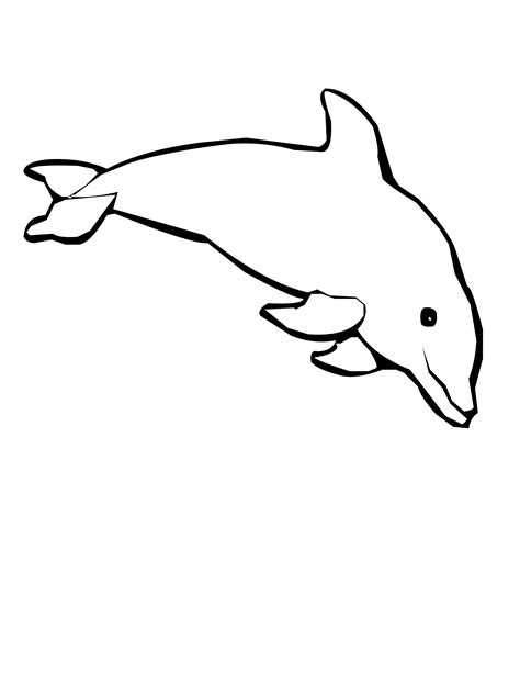 Free Baby Dolphin Cliparts Download Free Baby Dolphin Cliparts Png