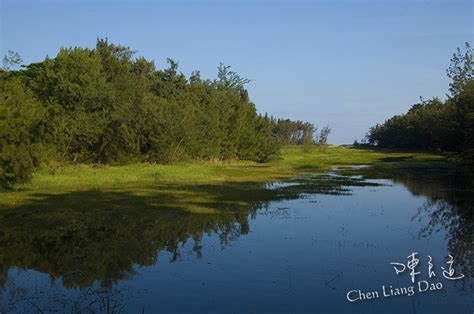 請選擇 基隆 台北 新北 桃園 新竹 苗栗 台中 南投 彰化 雲林 嘉義 台南 高雄 屏東 宜蘭 台東. DAO-04156 台東森林公園(黑森林) 琵琶湖 活水湖 | 台東市-台東森林公園 台東休閒森林公園是一大片面積遼的木 ...