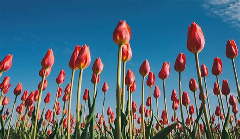 Thank you so very much for your support; Spring Party Themes To Celebrate This Season - A Touch of LA