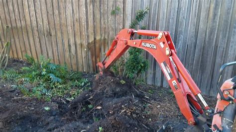 Digging Tree Roots Out Of The Back Yard Youtube
