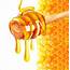 How Safe Is Australian Honey  Australasian Science Magazine