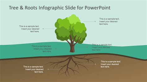 Tree And Roots Infographic Slide For Powerpoint Slidemodel