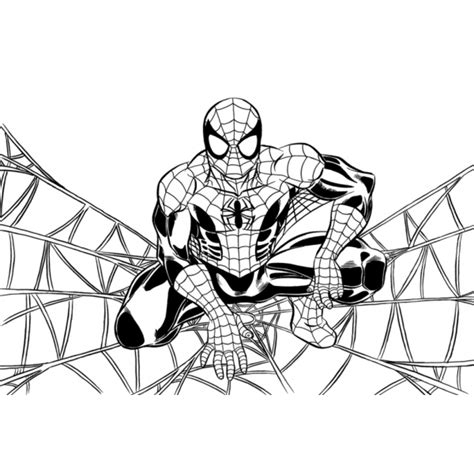Disegno di Spiderman sulla Ragnatela da colorare per bambini