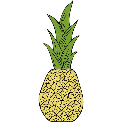 Pineapple Head Png Svg Clip Art For Web Download Clip