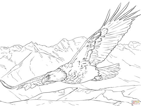 Bald Eagle Soaring coloring page | Free Printable Coloring Pages