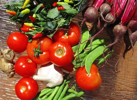 Tips Para Cocinar Vegetales Y Que Sepan Bien Alimento Sano Cuerpo Sano