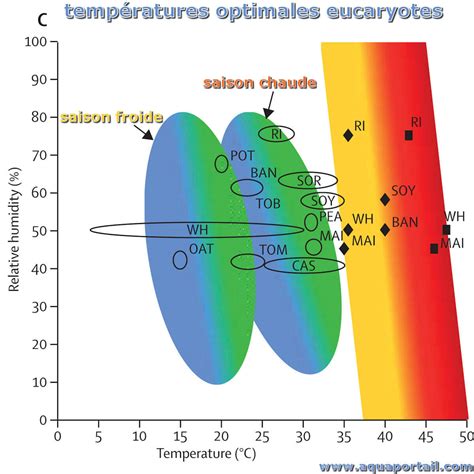 Température Optimale Définition Illustrée Et Explications