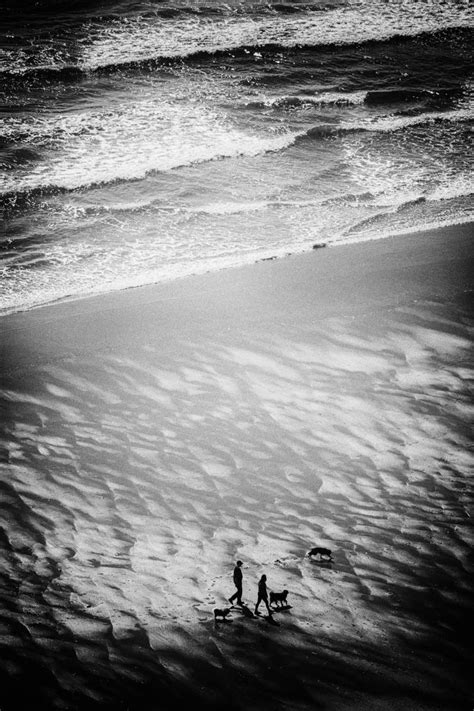 Man Beach Sea Coast Sand Ocean Horizon Image Free Photo