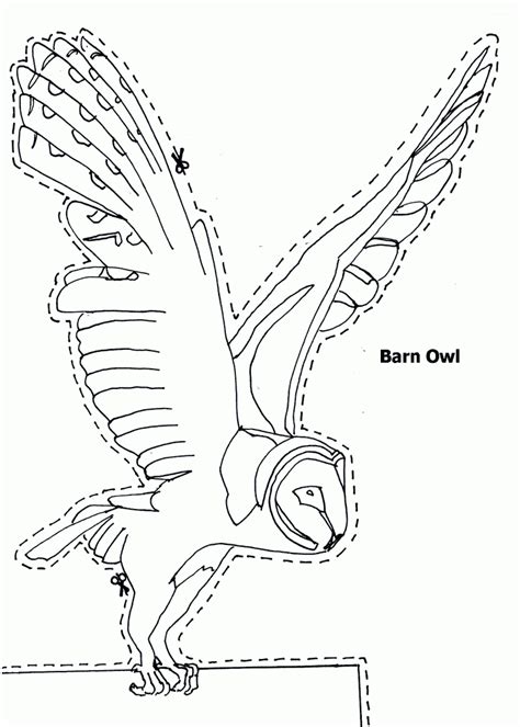 Owls' ears, for the most part, are asymmetrical between left and right, which causes the sound to travel to the two ears at different times, which can locate the prey more. Owl In Flight Drawing at GetDrawings | Free download