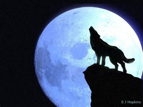 They have no more interest in our lunar companion than the rabbits they hunt and the fleas living in their fur. Wolf Howling At The Moon Wallpapers - Wallpaper Cave
