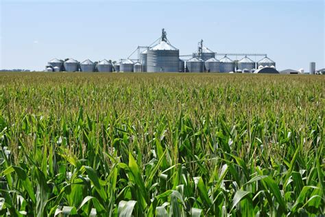 How The Biggest Farms Are Getting More Per Acre In Trade War Subsidies