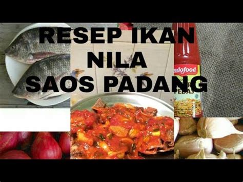 Gurih renyah daging ikan nila goreng jadi makin asyik dimakan dengan selingan rasa share 0 tweet 0 share 0 0 komentar. RESEP IKAN NILA SAOS PADANG MANTAP BETUL - YouTube