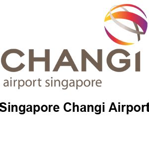 429*728 name:singapore changi airport logo changi airport group lounge png. Singapore Changi Airport - Gralessando