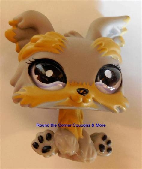 Littlest Pet Shop Lps Yorkie 883 Gray With Purple Eyes By Hasbro Rare