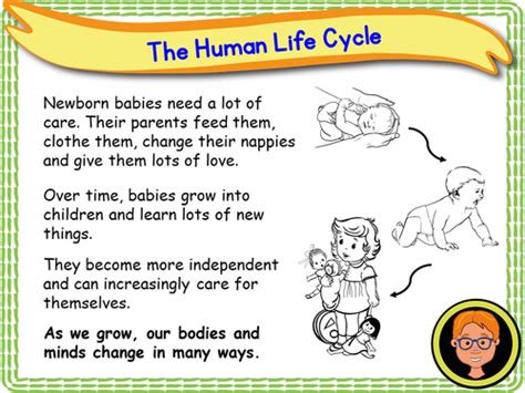 Human Life Cycle Ks1 Teaching Resources