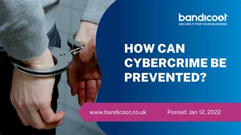 Cybercrime Prevention Blog Banner Bandicoot