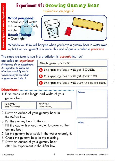 Third Grade 3rd Grade Science Worksheets With Answer Key Thekidsworksheet