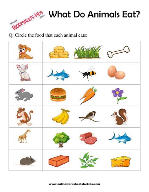 What Do Animals Eat Worksheet For Grade 1 4