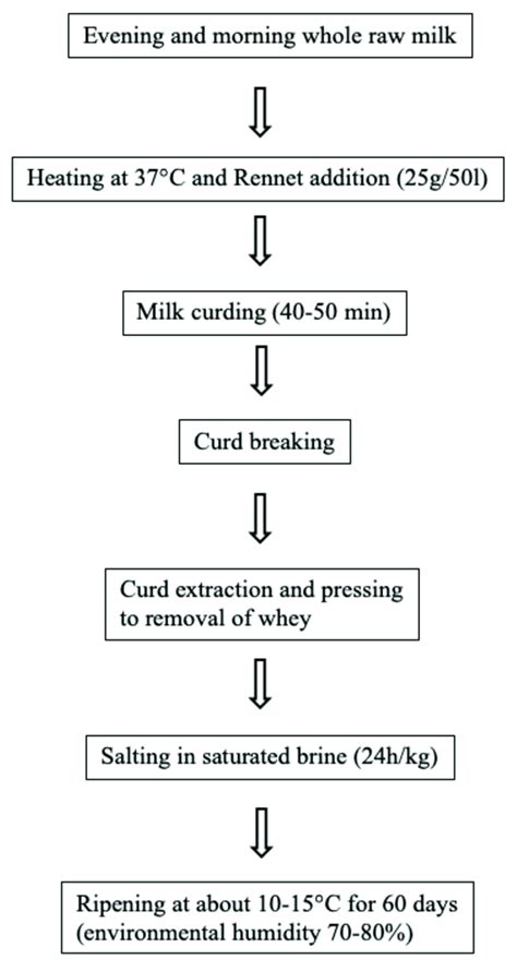 Flowchart How To Make A Sandwich