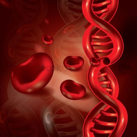 Red Blood Cells And Case Of Epigenetics Prachodayat