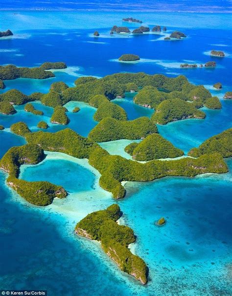 Stunning Photos Reveal Pristine Underwater Environments Of Palau