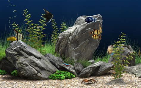 Conticasos Dream Aquarium 124 Screensaver Versão Para Instalar