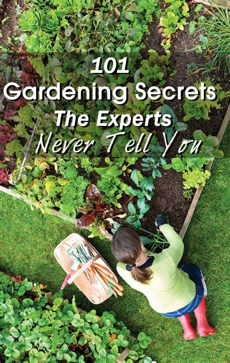 101 Gardening Secrets The Experts Never Tell You ~ Be Creative