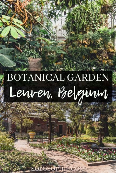 Visit Kruidtuin Leuven The Oldest Botanical Garden In Belgium Solosophie