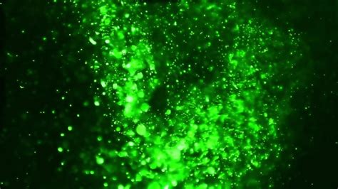 Green Magic Particles By Zulkars Videohive