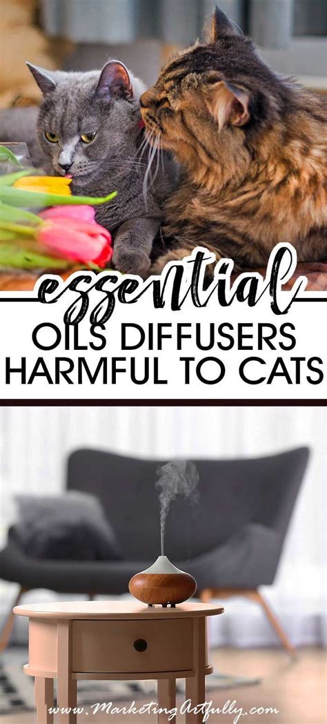 Ingesting certain essential oils can be toxic or. Warning! Essential Oil Diffusers Are Harmful To Cats ...