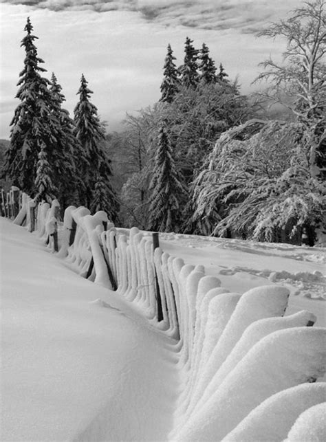 The Wonders Of Winter 51 Pics