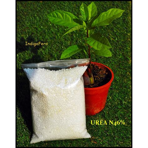 Sin embargo, la mayor parte de la urea, que equivale aproximadamente a 10 gramos por día, es barrida por los riñones. Baja Urea N46% UREA FERTILIZER 800g | Shopee Malaysia