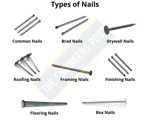 Different Types Of Nails Are Shown In This Diagram Including Nail Tips
