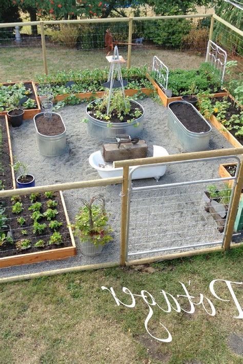 Setting Up A Terraced Vegetable Garden In 2023 Easy Backyard