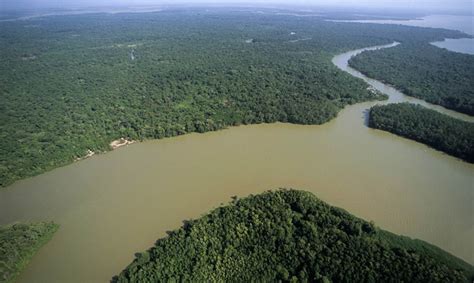 Nelio del rio peru / conservación a escala: Rio Amazonas | Perú.Travel