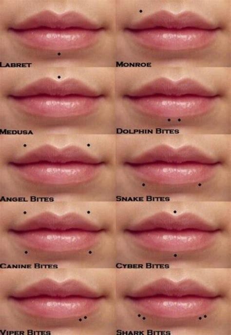 Mouth Piercings Lip Piercing Facial Piercings