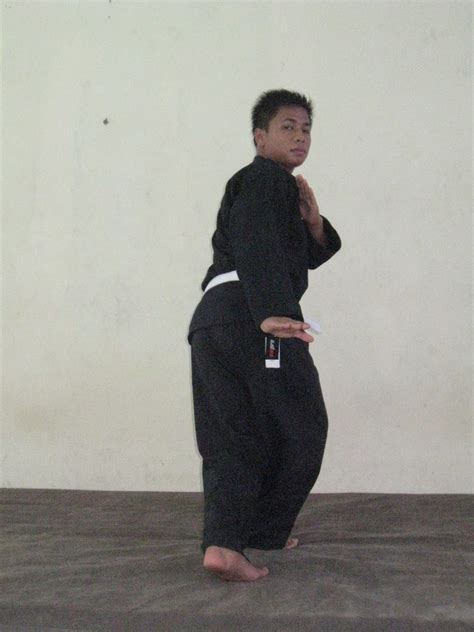 PENCAK SILAT DASAR: TEKNIK DASAR PENCAK SILAT
