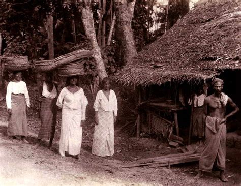 Sinhalese Peasants 1880 Ceylon