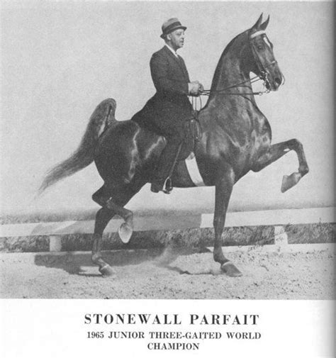 Maybe you would like to learn more about one of these? In 1965 Frank "Walk-Trot" Thomas made history when he ...