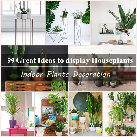 How to create a world travel theme for your bedroom. 99 Great Ideas to display Houseplants | Indoor Plants ...