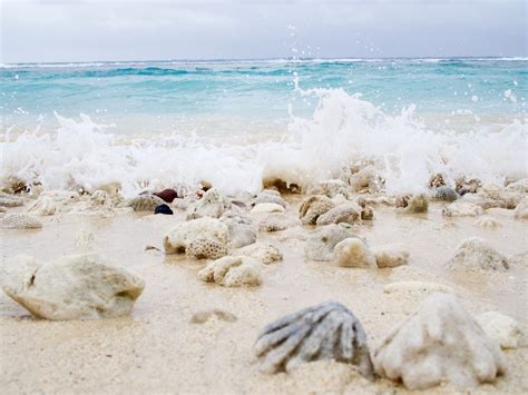Why You Should Visit The Cook Islands This Year | To Europe And Beyond