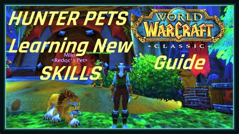 Wow Classic Hunter Pets Guide How To Learn Bite And Claw Rank 2 Youtube