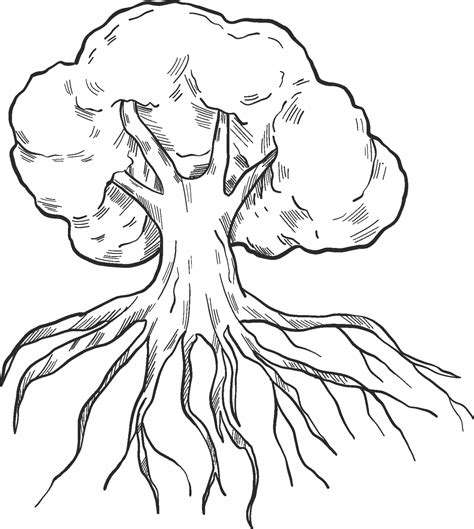 Tree With Roots Coloring Page ColouringPages